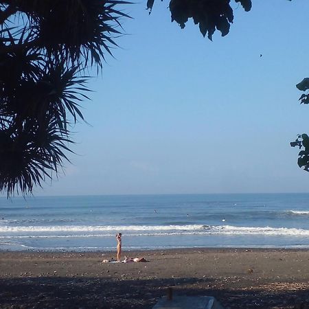 Medewi Good Vibes Stay&Surf Jembrana  Ngoại thất bức ảnh