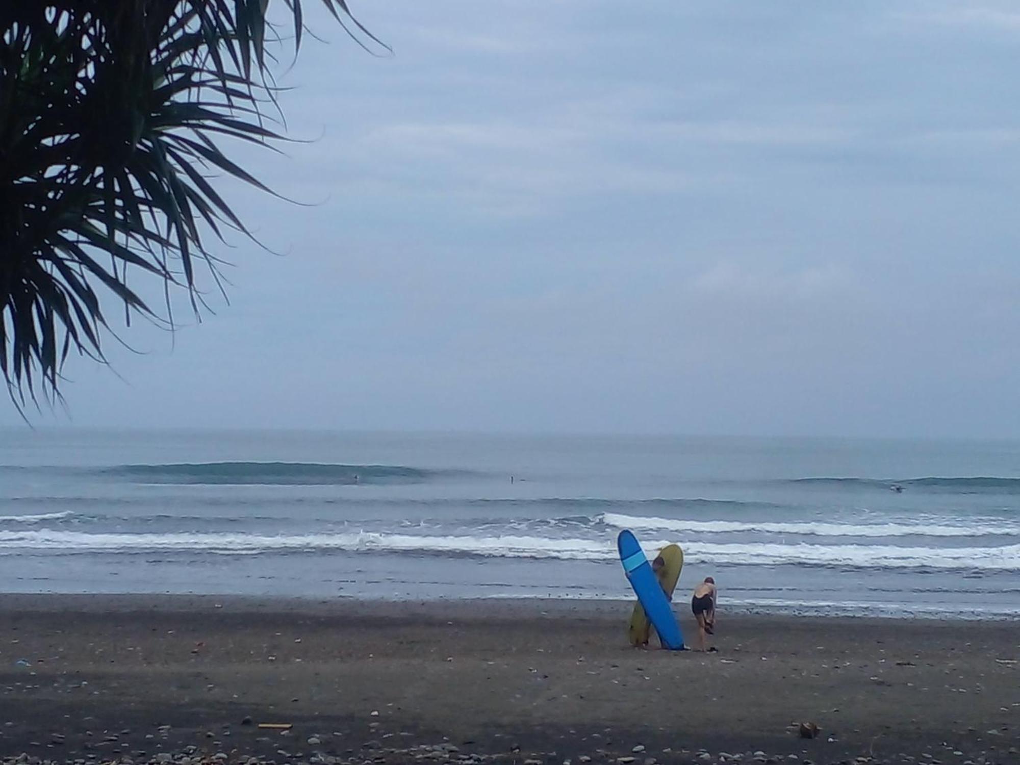 Medewi Good Vibes Stay&Surf Jembrana  Ngoại thất bức ảnh