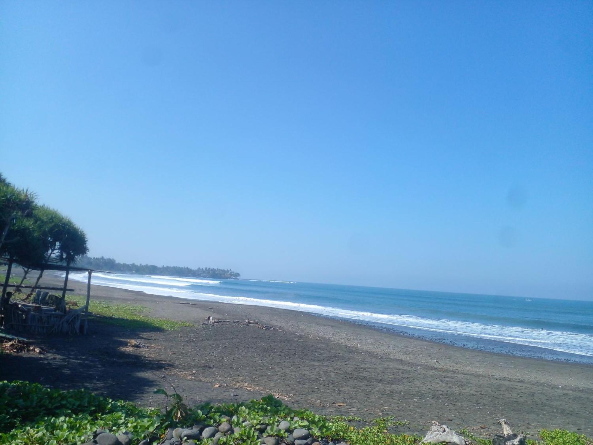 Medewi Good Vibes Stay&Surf Jembrana  Ngoại thất bức ảnh