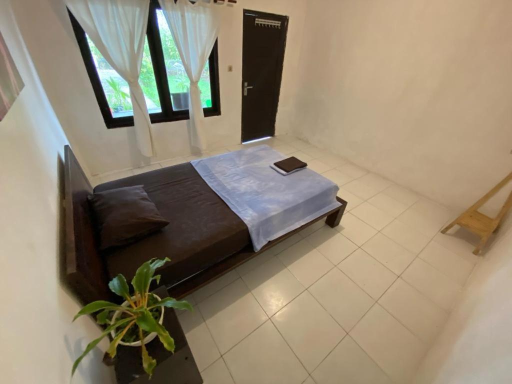 Medewi Good Vibes Stay&Surf Jembrana  Phòng bức ảnh
