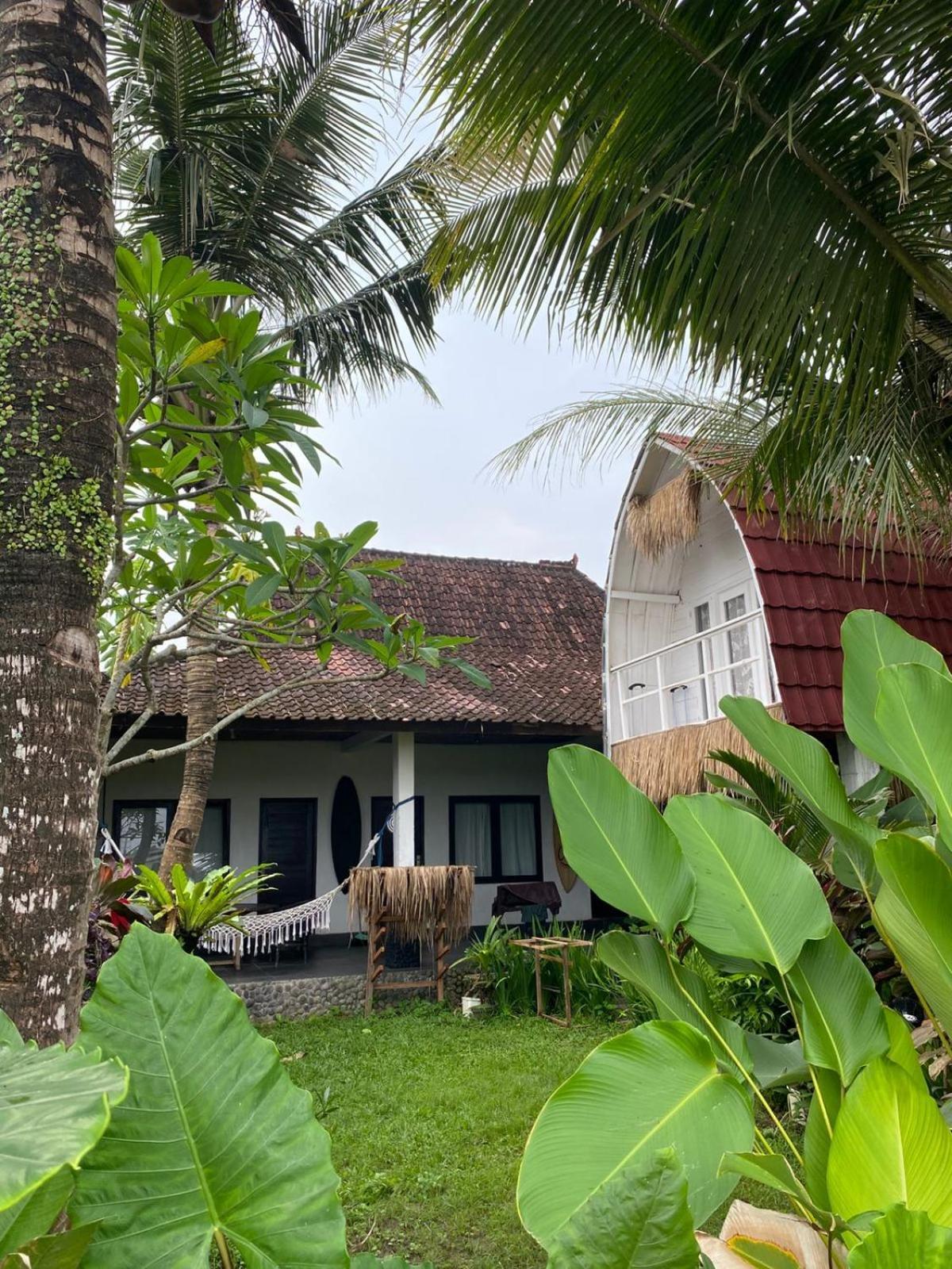 Medewi Good Vibes Stay&Surf Jembrana  Phòng bức ảnh